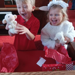 Program%2025%20-%20Copy